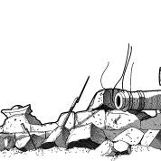 Canó havent disparat